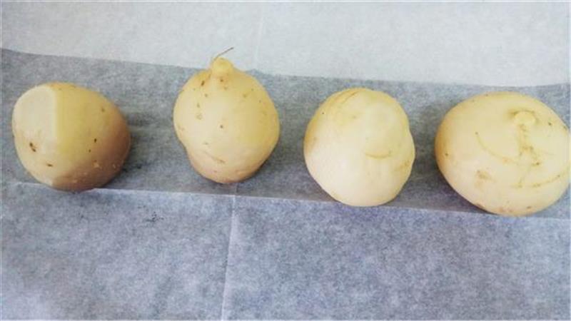 לפת אפויה בתנור