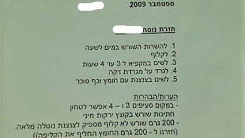 חזרת לבנה חריפה של סבא