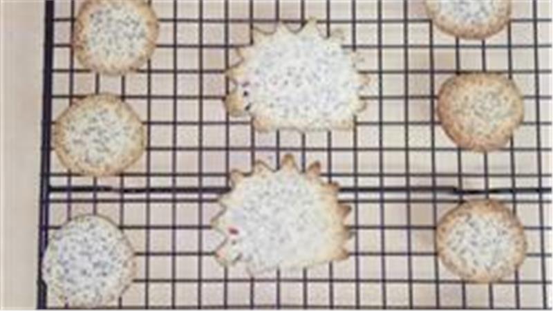 עוגיות פרג ולימון הכי ממכרות עוגיות פרג ולימון הכי ממכרות