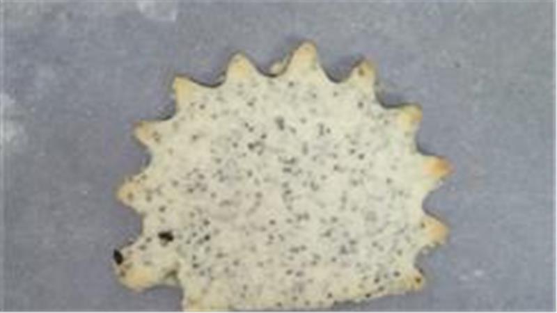 עוגיות פרג ולימון הכי ממכרות עוגיות פרג ולימון הכי ממכרות