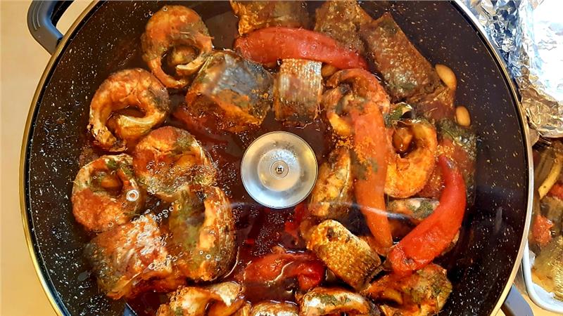 חריימה, דג טריפוליטאי