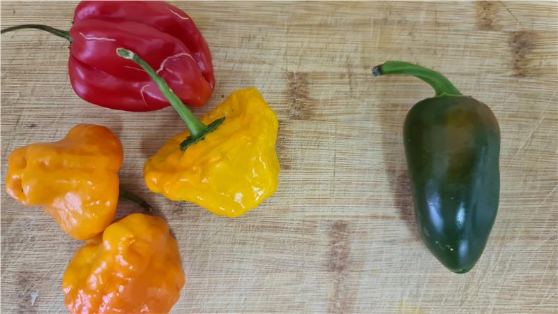 בננות מטוגנות מתובלות, בסגנון אוכל רחוב מגאנה, קלווילה