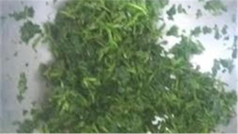 קציצות בשר ברוטב רטטוי