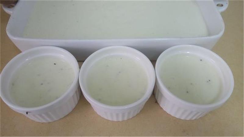 פרפה קיווי קפוא פרפה קיווי קפוא