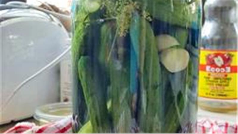 איך מכינים מלפפונים חמוצים