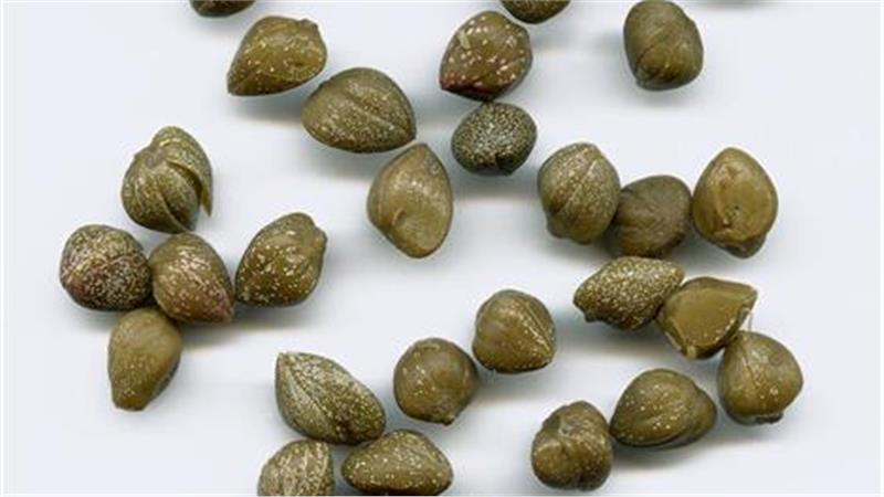 איך מכינים צלפים כבושים