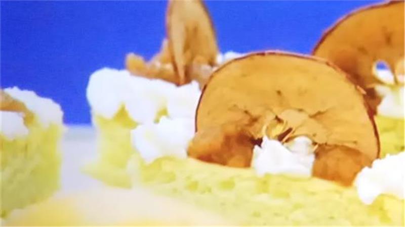 צ'יפס פירות מעדן אמיתי