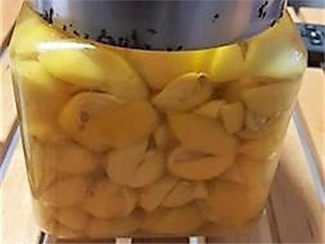 לימון כבוש שמכינים לבד - לימון רגיל או ננסי