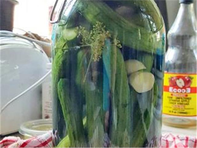 איך מכינים מלפפונים חמוצים